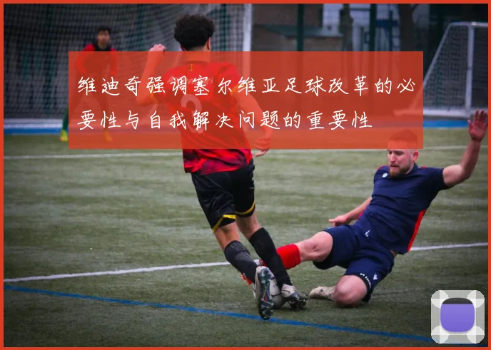 维迪奇强调塞尔维亚足球改革的必要性与自我解决问题的重要性